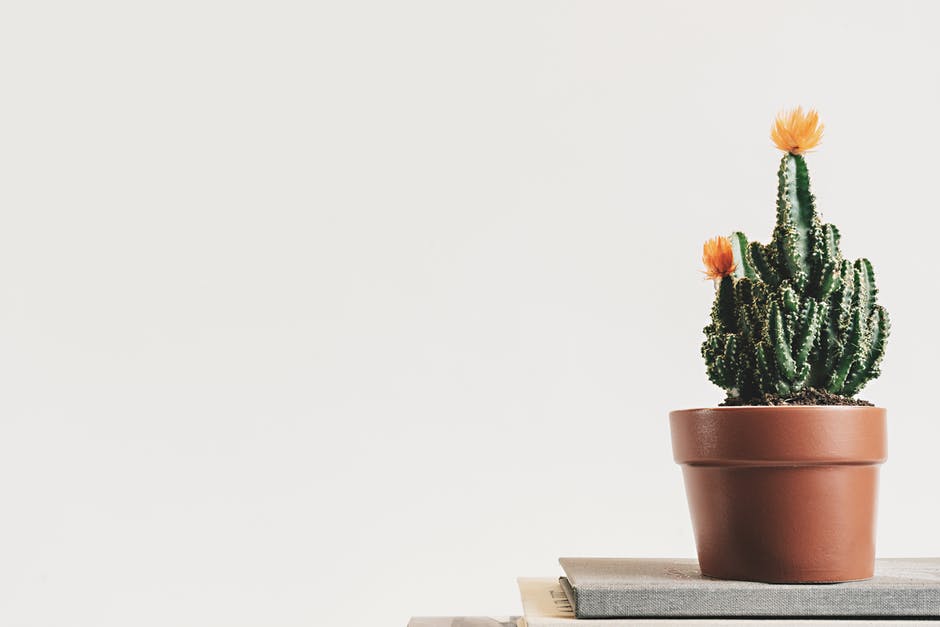 30 days of less - minimalism